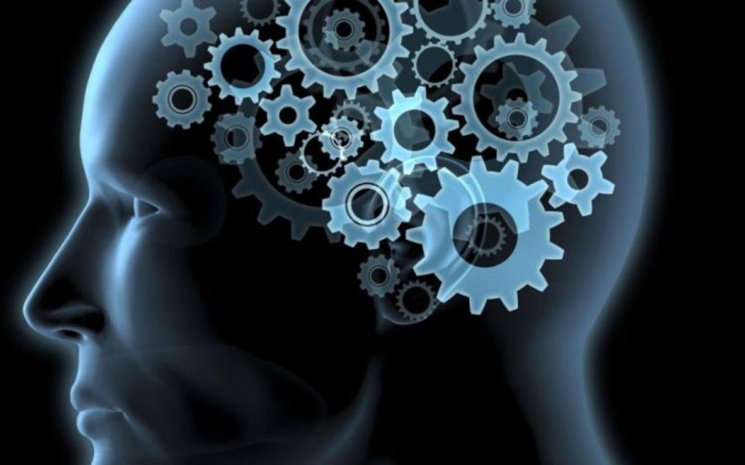 Se anche tu vuoi laurearti in fretta, con voti alti e senza stress, devi capire come sfruttare le caratteristiche individuali del tuo cervello